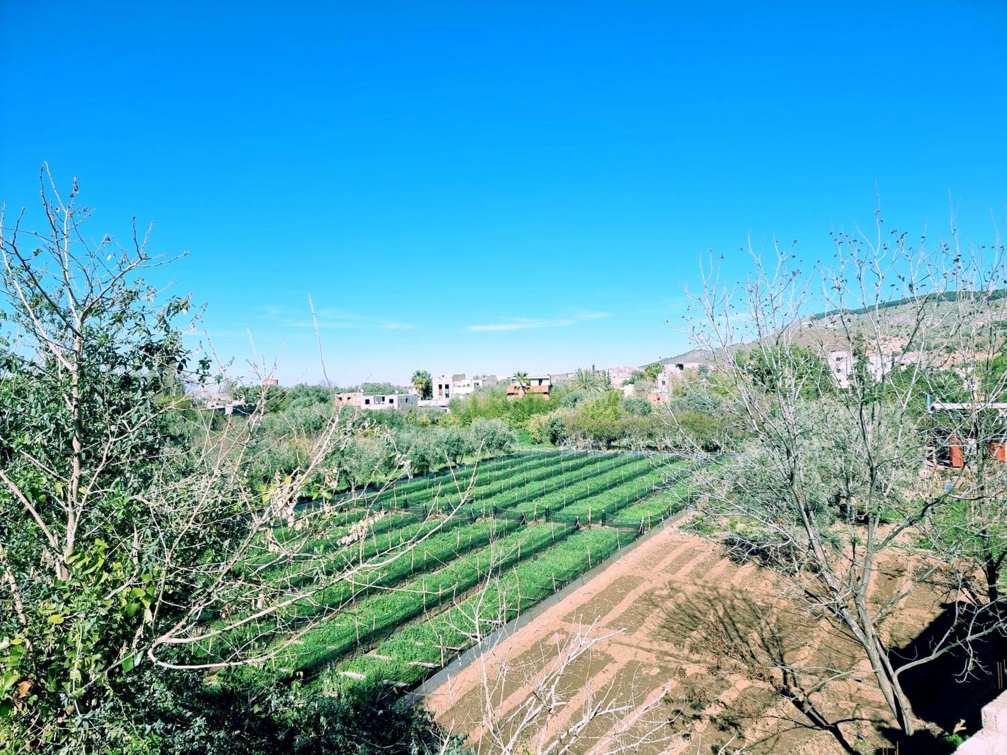 Villa Des Etoiles Ourika Eksteriør billede